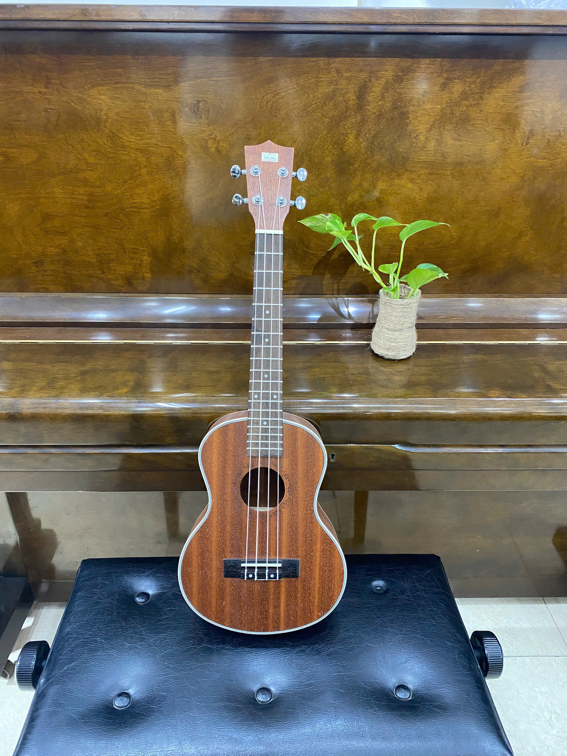 f65115c6b37a3e24676b2